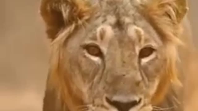 Comedy video scenes 😂😂😛😛