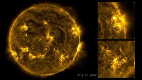 Sun 365 Days View