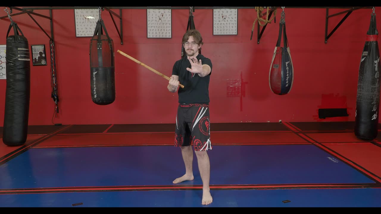 Kali / Filipino Martial Arts - 12 Defenses