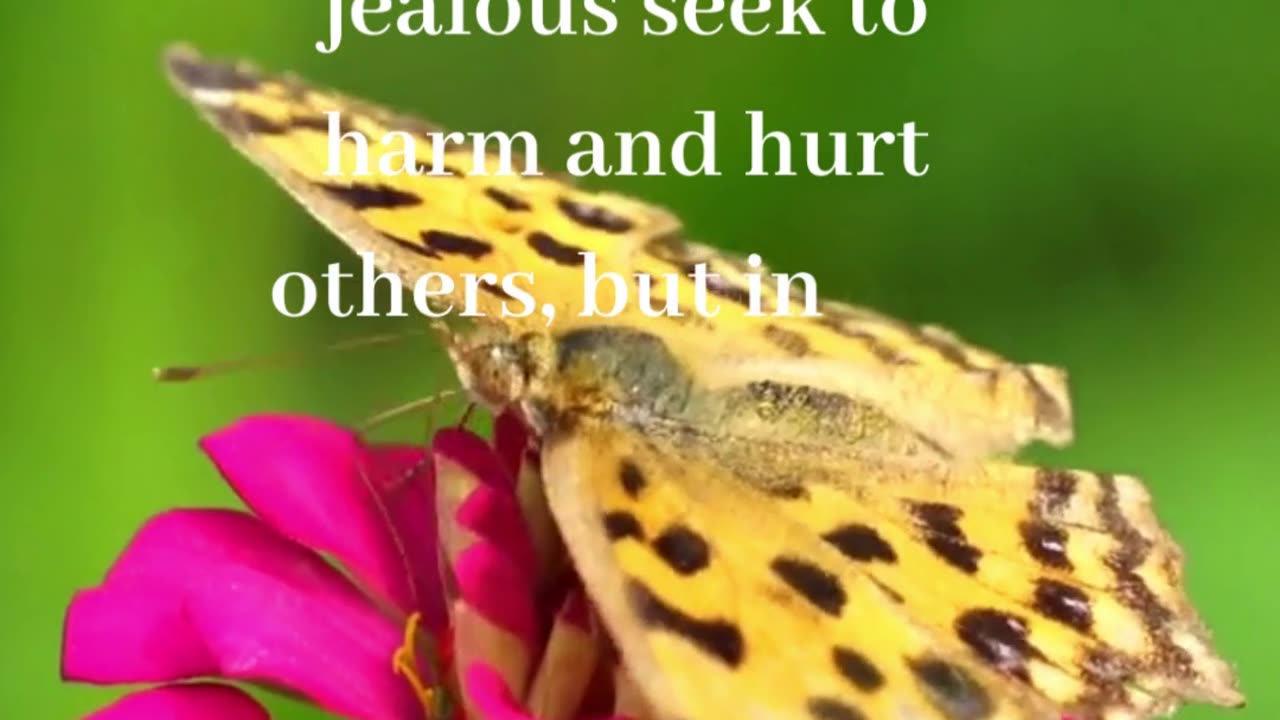 The overly jealous seek #shorts #quotes #rumblegrumble