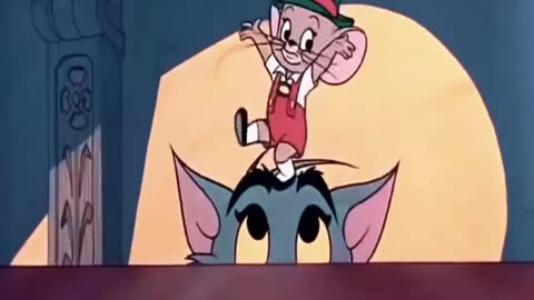 Tom & Jerry l Tom funny carton l Kids carton