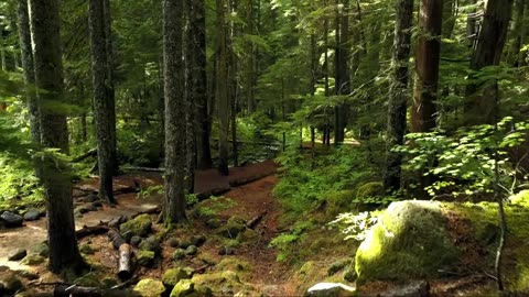 FLYING OVER THE WORLD (4K UHD) - Beautiful Nature Videos To Relax(