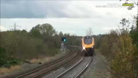 Animals that hit by train - Animals vs Train