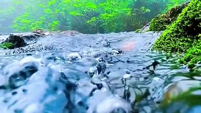 #tiktok #underwaterview #foryou #beauty #underwaterfilming #scenery