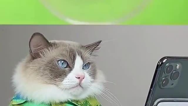 Best recipe for sticky lips revealed 🤣🤣 what’s next Puff