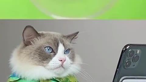 Best recipe for sticky lips revealed 🤣🤣 what’s next Puff