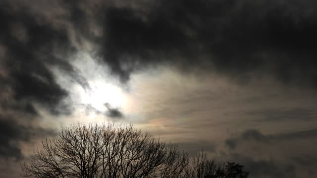 SkyLab Zaamslag, the Netherlands. January 2023