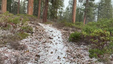 Central Oregon – Edison Sno-Park – Beautiful Forest Hiking in the Snow