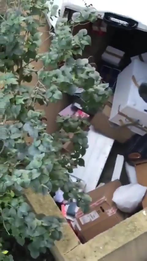 Dude forgot to apply the parking brake