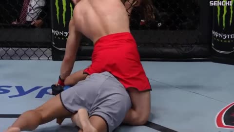 鶴屋 怜VSジー・ニウシュイエ （中国）TKO ハイライト【ROAD TO UFC】