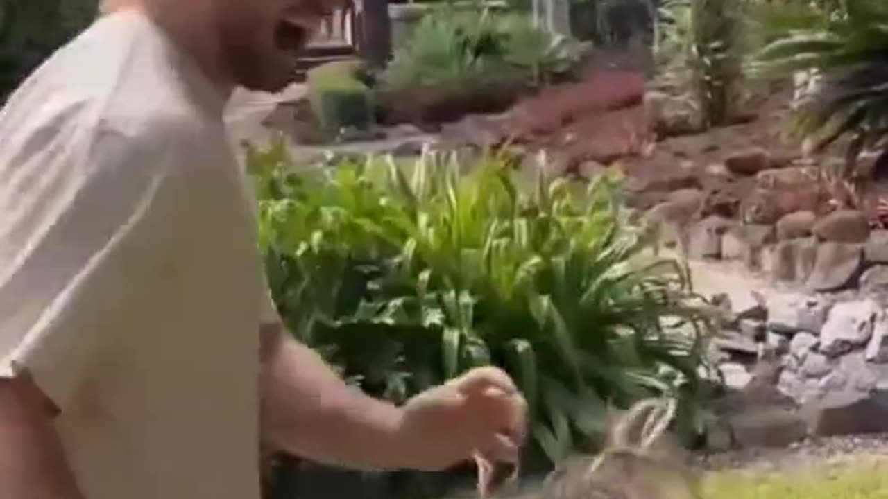 This is too funny?😱🤣