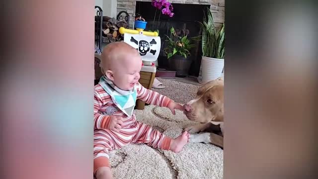 Pets make children happy