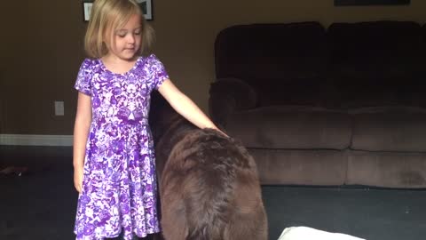 Child Vigilantly Watches Huge Puppy