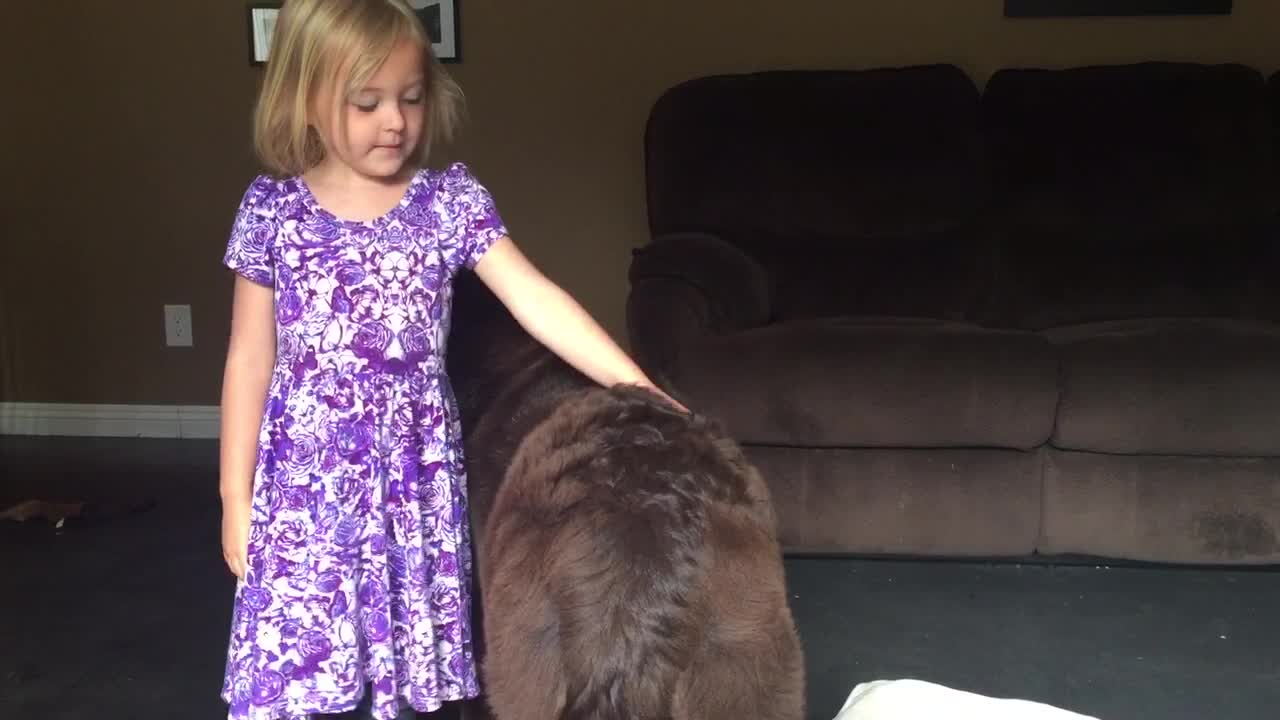 Child Vigilantly Watches Huge Puppy