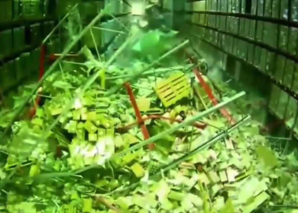 First day at work