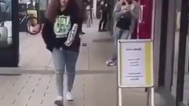 The dinosaur