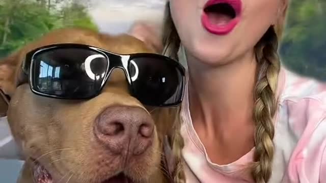 #barbie #ken #barbiegirl #dogsoftiktok