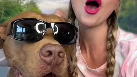 #barbie #ken #barbiegirl #dogsoftiktok