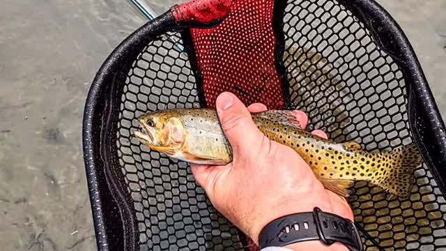 Great times being out in the Utah outdoors!