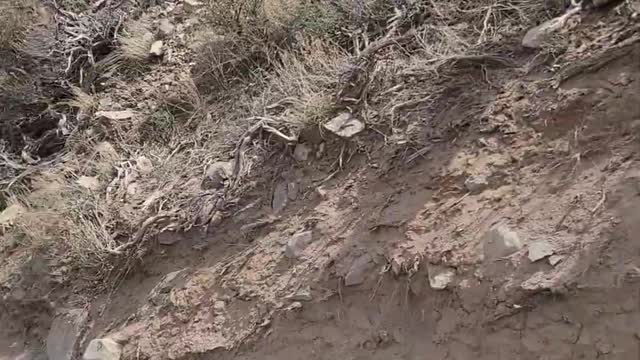 130 Motorcycle HILL CLIMB Gone Wrong