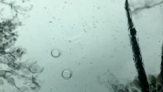 Rain Day Video