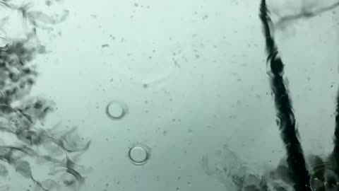 Rain Day Video