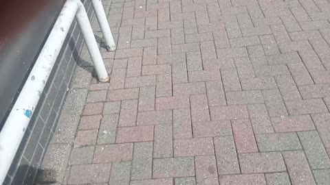 Wall of fail, double trouble