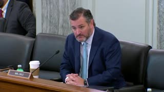 Cruz, Once Again, OBLITERATES A Biden Nominee