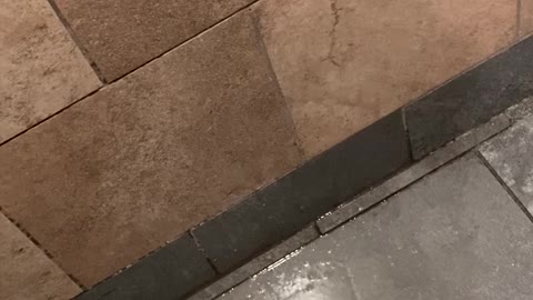 gas station piss #2