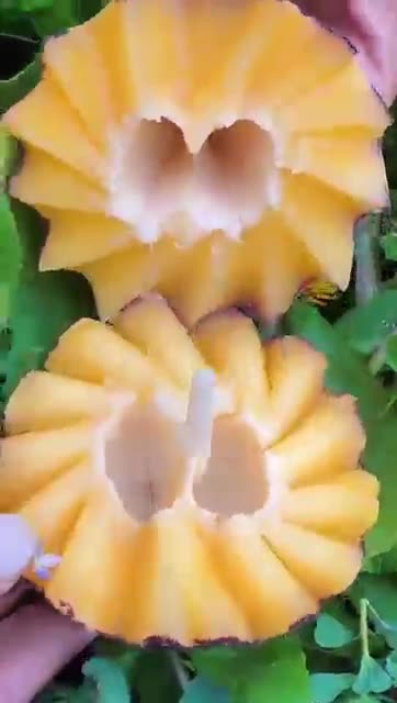 enjoy amazing fruits of china