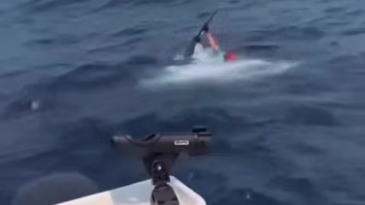 Professional Fishing