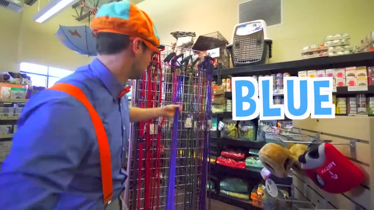 Blippi Visits a Zoo And Learns About Animals! | Educational Videos for Kids