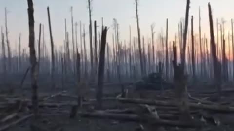 Serebryansk forest through the eyes of an infantry soldier of the "Bureviy"