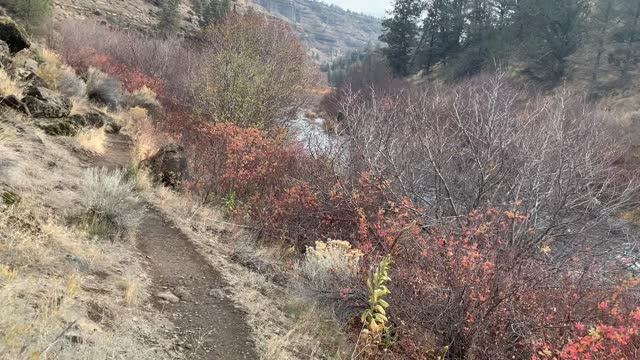 Central Oregon – Steelhead Falls – Desert Canyon Hiking