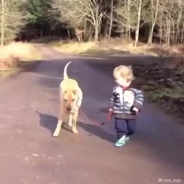 Anti-Loosh Video Number 189. LOOSH is real and bad. Explained below and watch the video