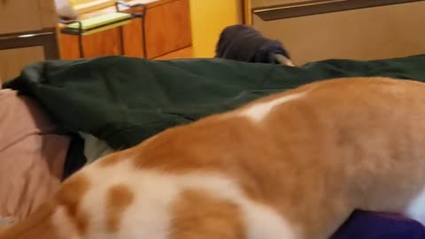 Bed sweet home part 2??