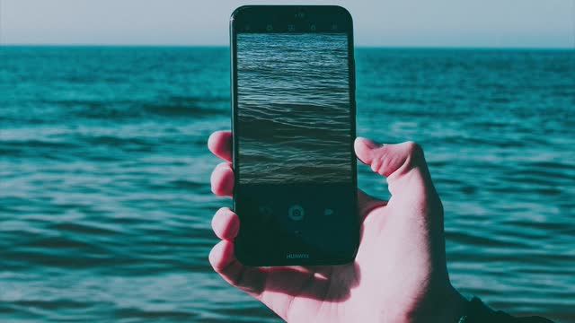 I see a sea in the sea