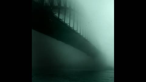 Fog 27