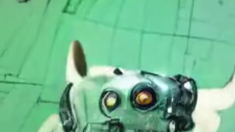 Actually Starting robot zombie dog