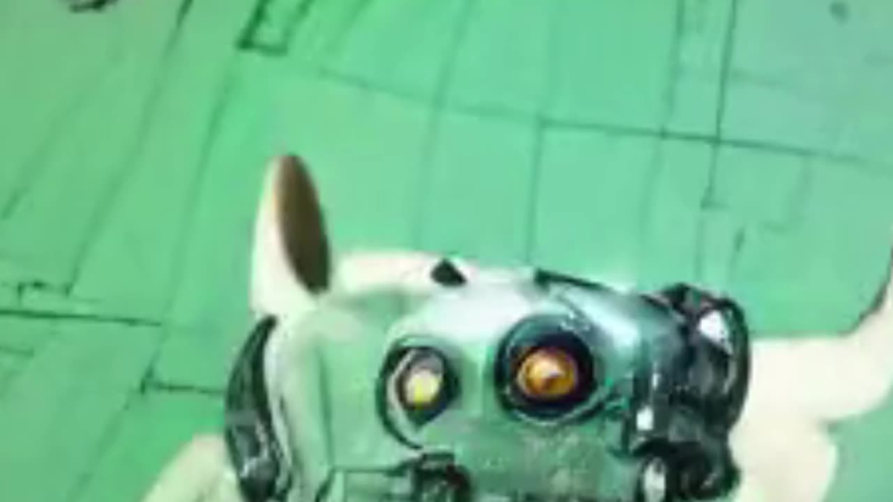 Actually Starting robot zombie dog