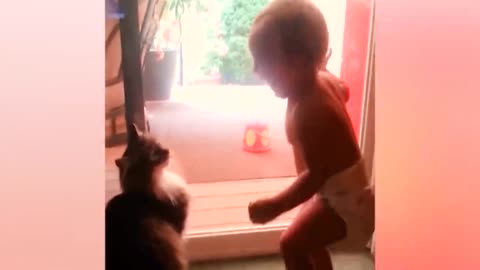 Baby And Cat Fun And Cute #5 - Funny Baby Videos