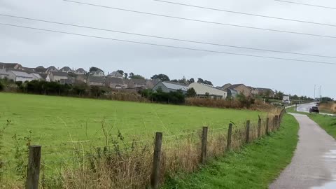 Oct 2023 hay bale harvest cows Westhill