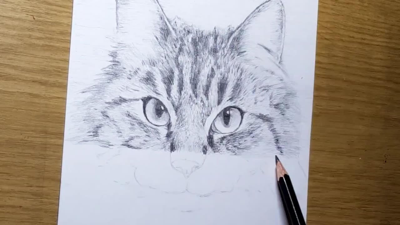 Drawing my Cat Like a Printer