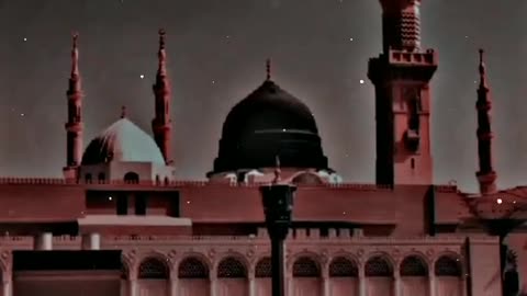 apne maula ka pyara hamara nabiﷺ _ new naat status#shortststatus