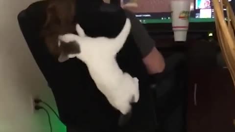 Funny Video