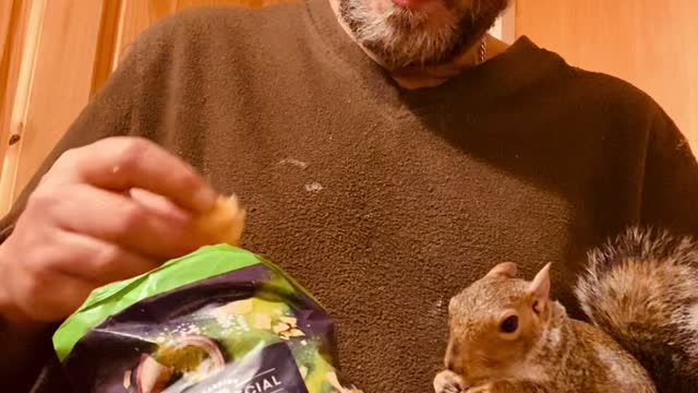 Squirrel and Dad Bond Over Snacks