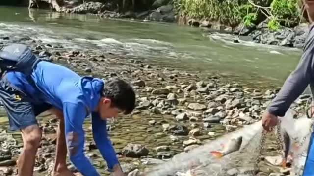 Cast net fishing in the river #shorts #fishing #cast_net_fishing