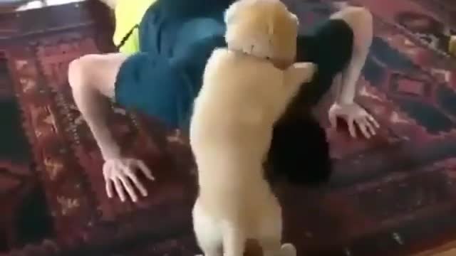 Exercise together
