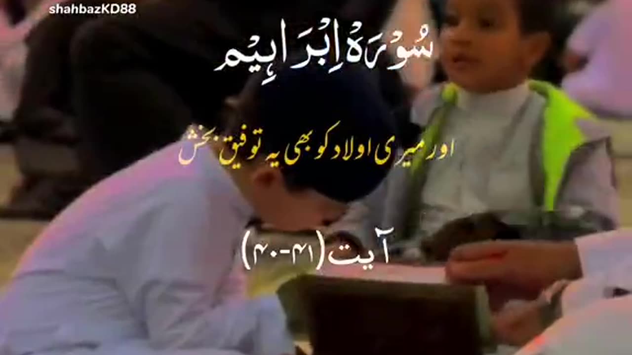 Quran Urdu Translation Whatsapp Status 🥀❤️