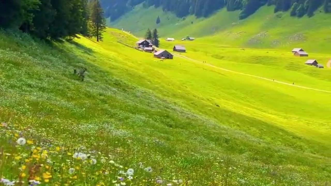 Switzerland nature🏕